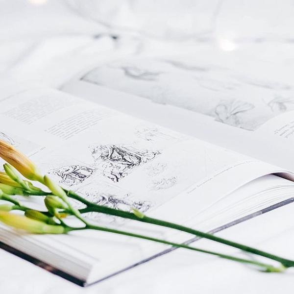 How to Create a Tax-Free Retirement Income Plan